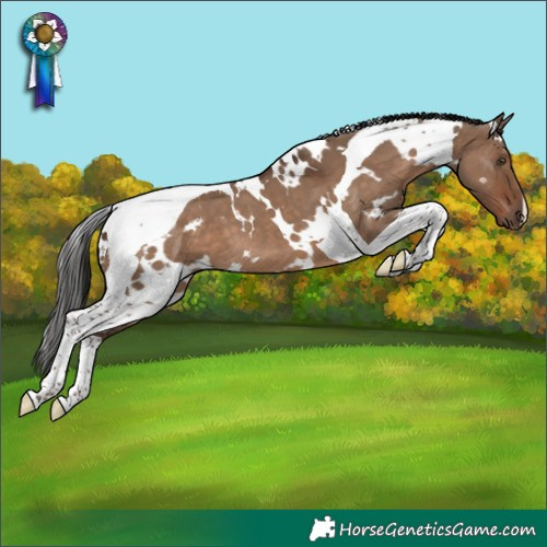 Horse Color:White Spotted Liver Red Dun Tobiano 