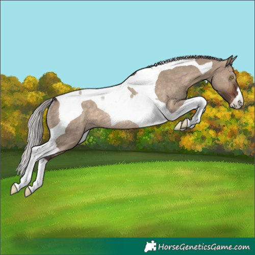 Horse Color:Silver Brown Dun Tobiano Varnish Rabicano