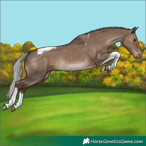 Horse Color:Silver Grullo Tobiano Varnish Rabicano