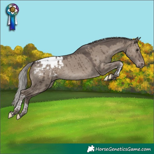 Horse Color:Silver Grullo Tobiano Blanket Rabicano Brindle