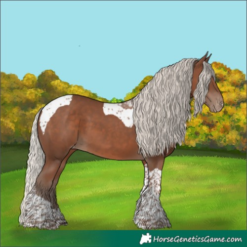 Horse Color:Silver Black Tobiano Varnish 