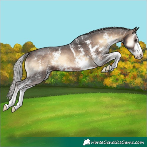 Horse Color:Silver Brown Onyx Sabino