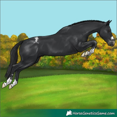 Horse Color:Black Varnish