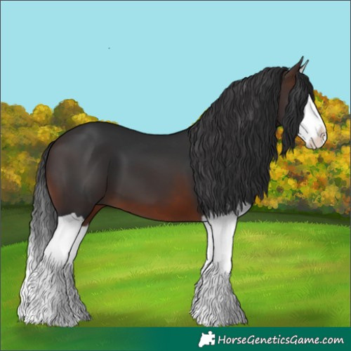 Horse Color:Brown Splash 