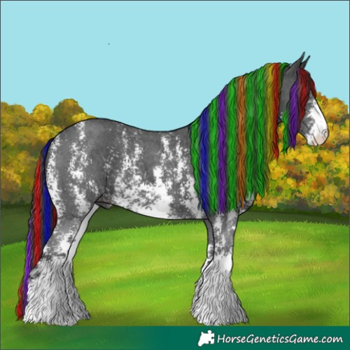 Horse Color:Painted Black Sabino