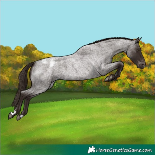 Horse Color:Liver Red Roan Varnish 