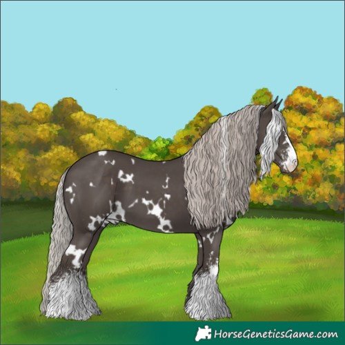 Horse Color:White Spotted Silver Black Sabino