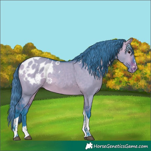 Horse Color:Watercolor Bay Dun Tobiano Blanket