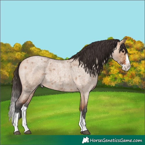 Horse Color:Bay Ice Roan Dun Splash