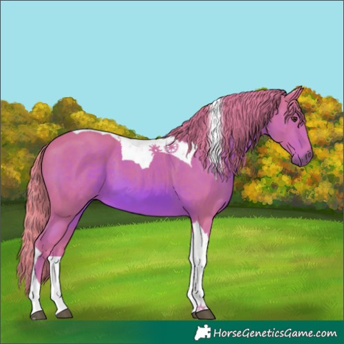 Horse Color:Watercolor Chestnut Tobiano