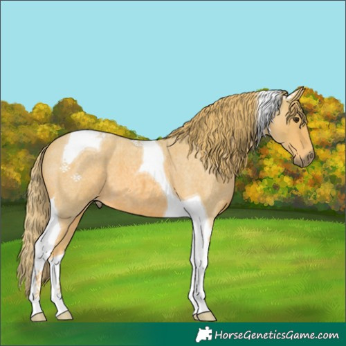 Horse Color:Watercolor Red Roan Tobiano