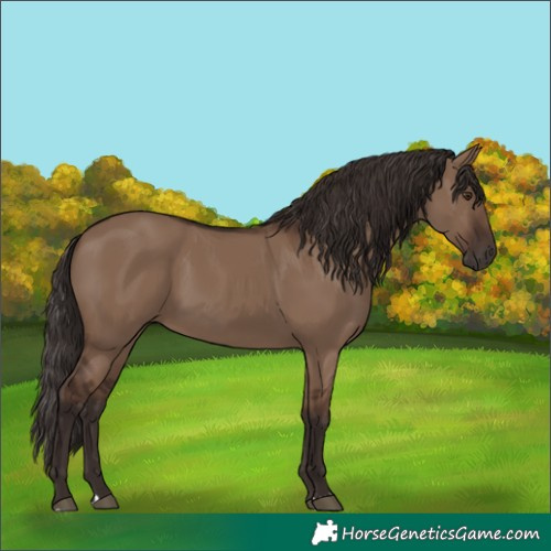 Horse Color:Liver Red Dun