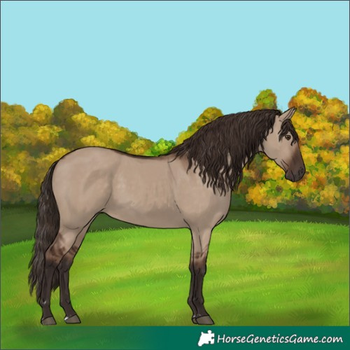 Horse Color:Liver Red Dun 