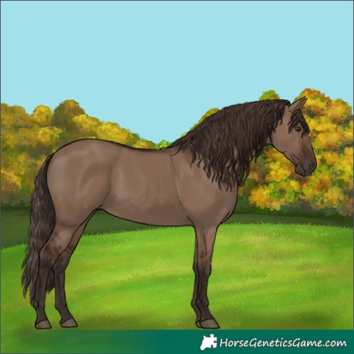 Horse Color:Liver Red Dun 