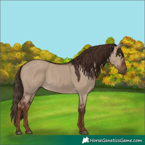 Horse Color:Liver Red Dun Rabicano 