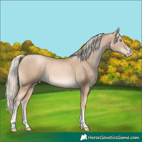 Horse Color:Chocolate Palomino Pearl Tobiano