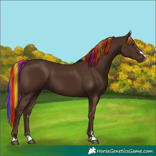 Horse Color:Gray Painted Chestnut
