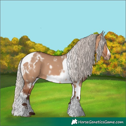 Horse Color:White Spotted Silver Bay Dun Tobiano Frame