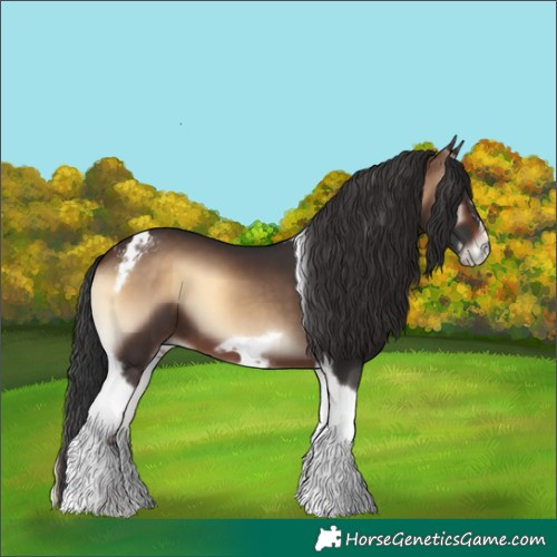 Horse Color:Brown Onyx Tobiano Frame