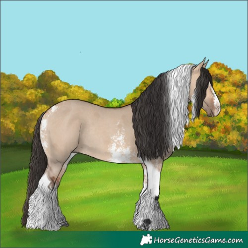 Horse Color:Bay Dun Sabino Tobiano Rabicano