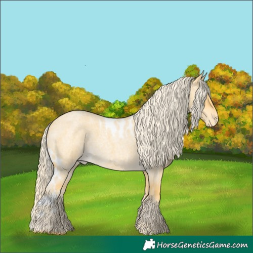 Horse Color:Palomino Roan Dun Skewed LP Spotted 