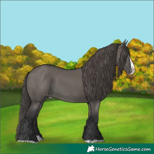 Horse Color:Grullo Splash Skewed LP Spotted