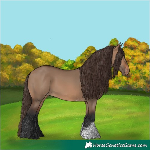 Horse Color:Brown Dun Sabino Skewed LP Spotted Rabicano 