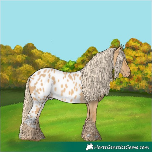Horse Color:Palomino Dun Skewed LP Spotted