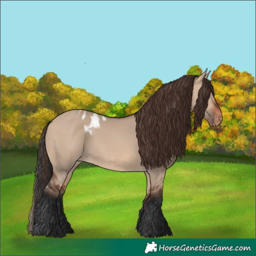 Horse Color:Bay Dun Skewed LP Spotted 