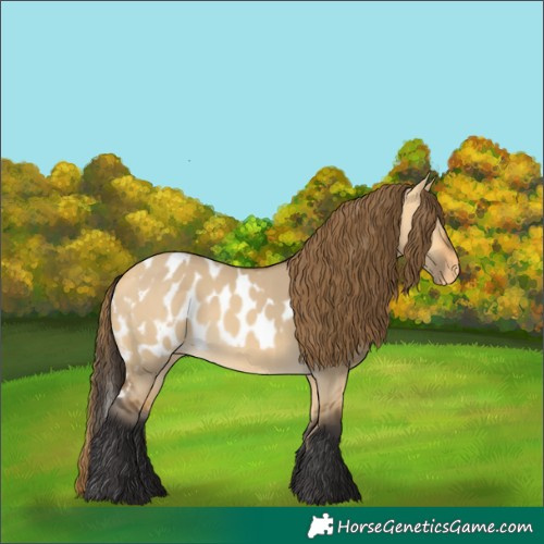 Horse Color:Buckskin Dun Skewed LP Spotted