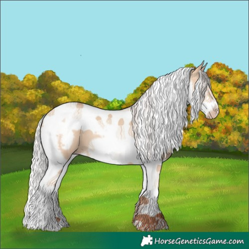 Horse Color:Silver Amber Champagne Dun Splash Tobiano Frame