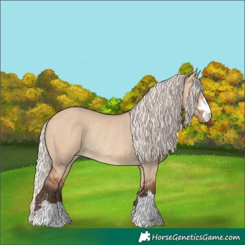 Horse Color:Silver Bay Dun Varnish Rabicano