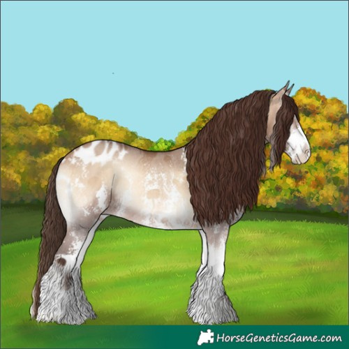 Horse Color:Bay Onyx Sabino Blanket Rabicano