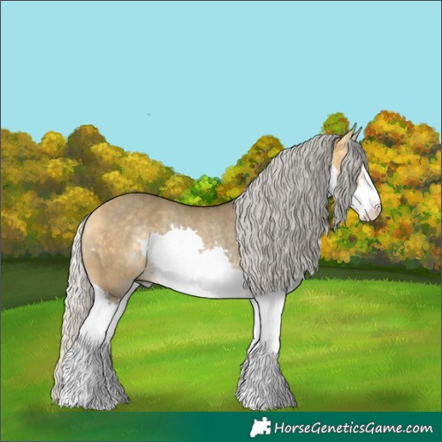Horse Color:Silver Buckskin Dun Sabino Splash Rabicano 