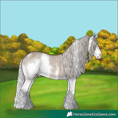 Horse Color:Silver Grullo Sabino Splash Rabicano 