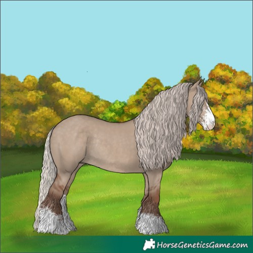 Horse Color:Silver Grullo Sabino Rabicano 