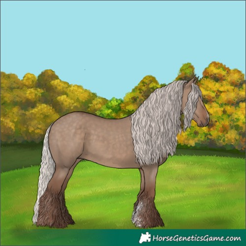 Horse Color:Silver Grullo Sabino Rabicano