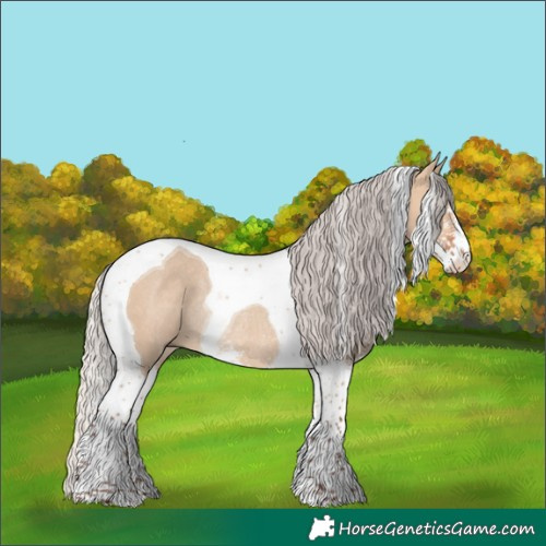 Horse Color:Silver Bay Dun Sabino Tobiano Rabicano 