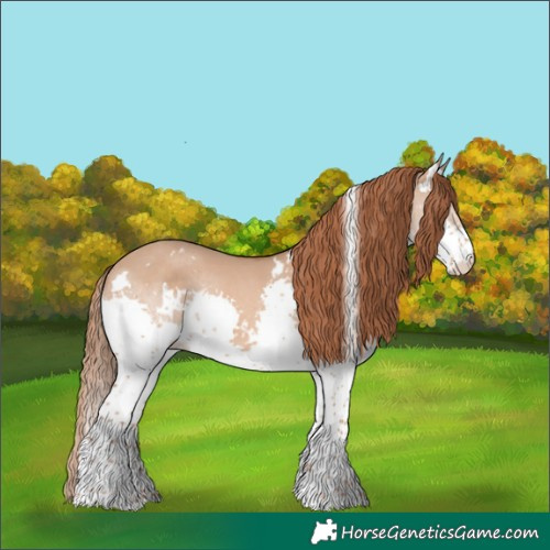 Horse Color:White Spotted Red Dun Splash Rabicano 