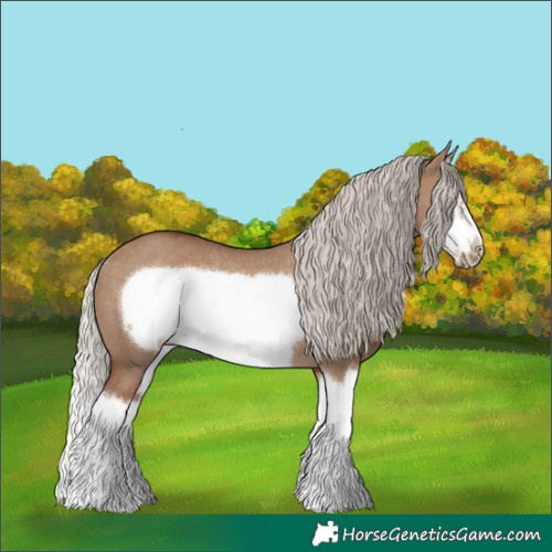 Horse Color:Silver Grullo Sabino Splash Frame Rabicano 