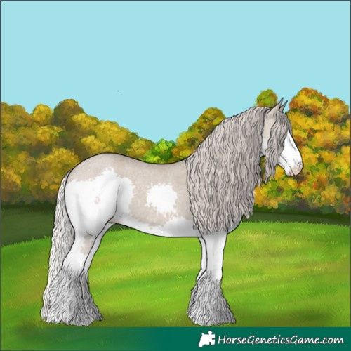 Horse Color:Silver Grullo Roan Sabino Splash Rabicano 