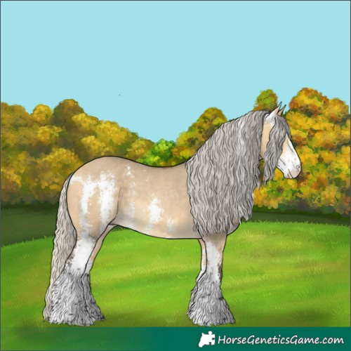 Horse Color:Silver Buckskin Dun Sabino Rabicano 