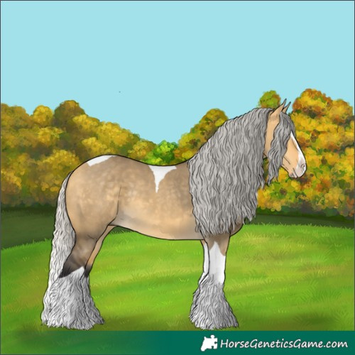 Horse Color:Silver Buckskin Dun Splash Tobiano Rabicano
