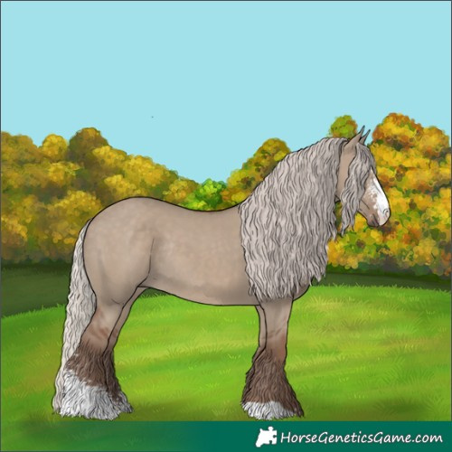 Horse Color:Silver Grullo Sabino Rabicano