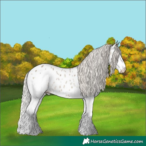Horse Color:Silver Smoky Grullo Sabino Splash Near Leopard Rabicano 