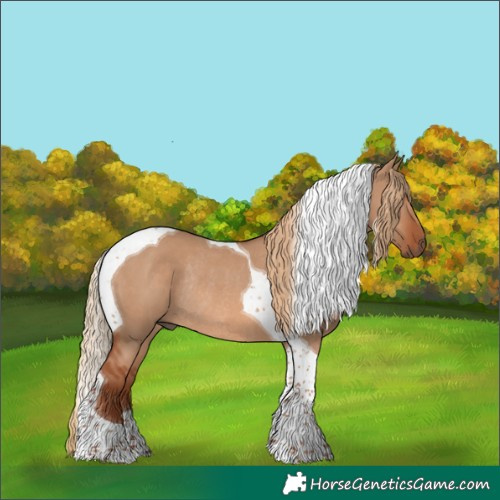 Horse Color:Red Dun Tobiano Rabicano