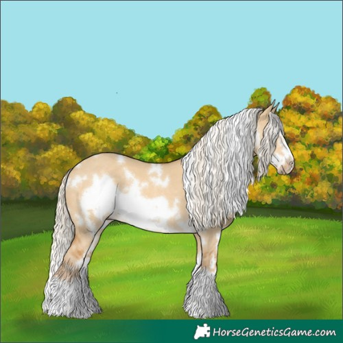 Horse Color:White Spotted Palomino Dun Splash Frame Rabicano