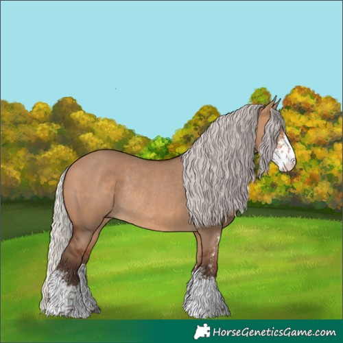Horse Color:Silver Brown Dun Sabino Rabicano