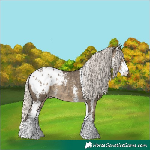 Horse Color:Silver Smoky Grullo Sabino Blanket Rabicano