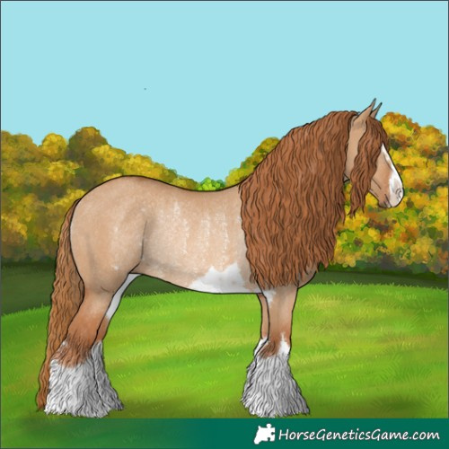 Horse Color:Red Dun Rabicano